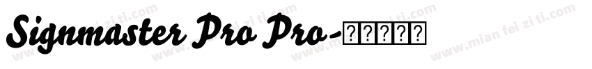 Signmaster Pro Pro字体转换